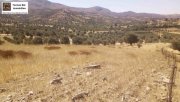 Sivas Kreta, Sivas: Grundstück 17.000 m² in guter Lage Grundstück kaufen